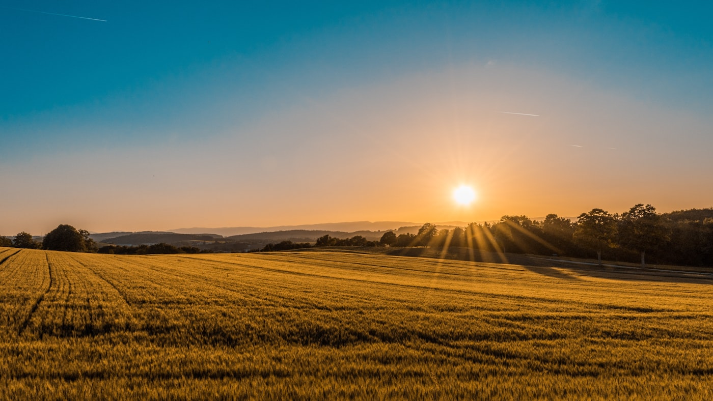 Teren agricol 2,4 ha, extravilan Argeș