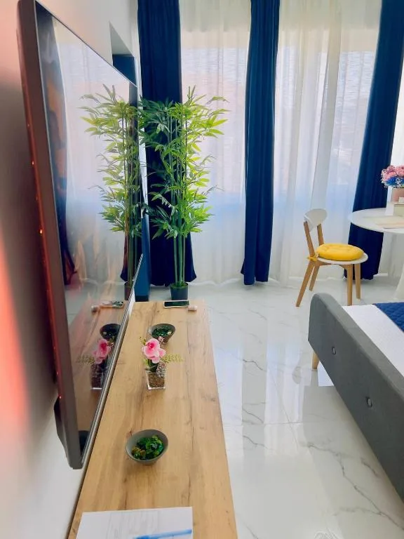 Studio cazare in regim hotelier — imaginea 5